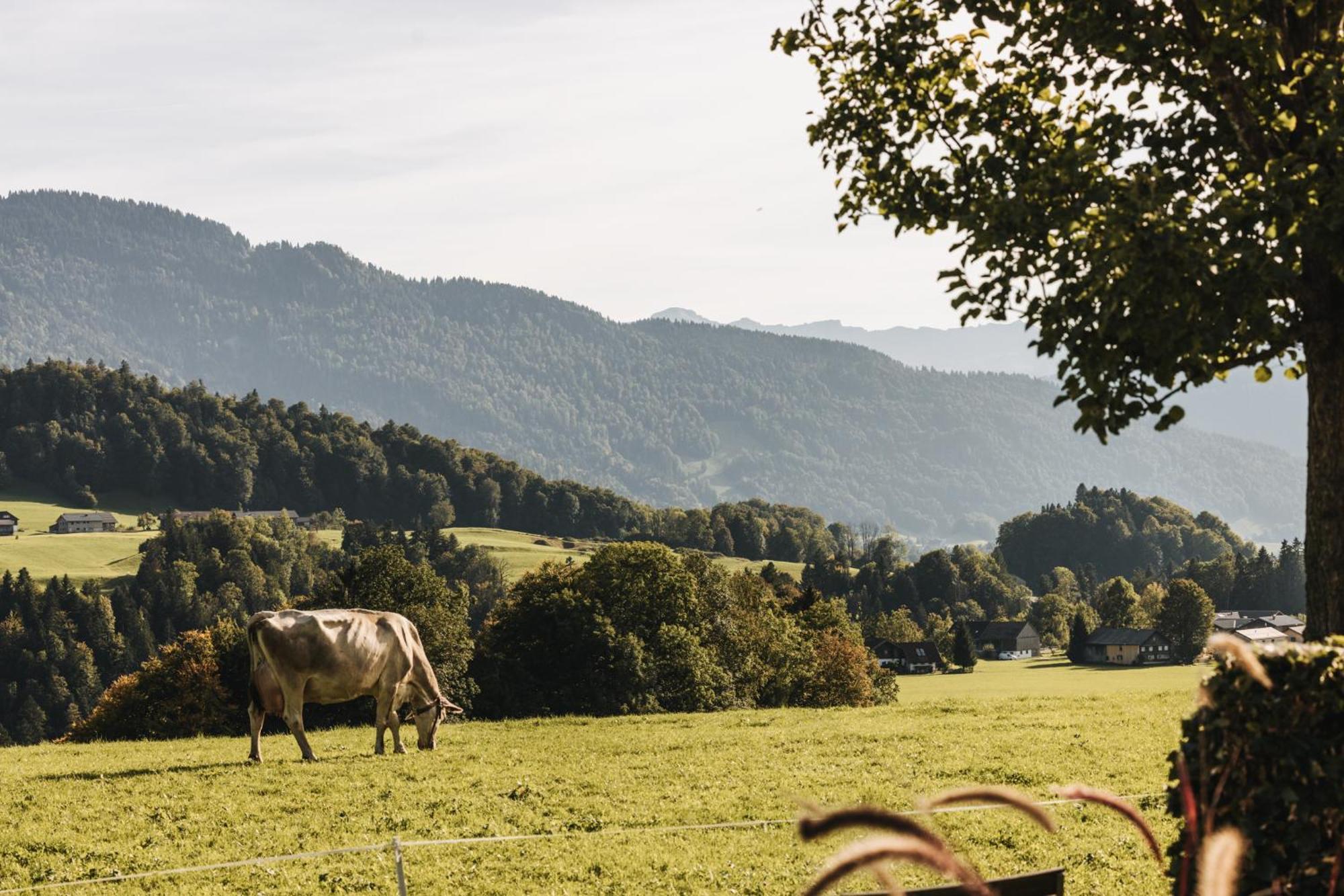 Wälderhof 3*